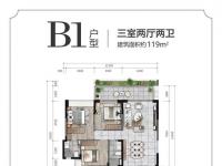 凯莱澜风雅筑建面119平米B1户型图