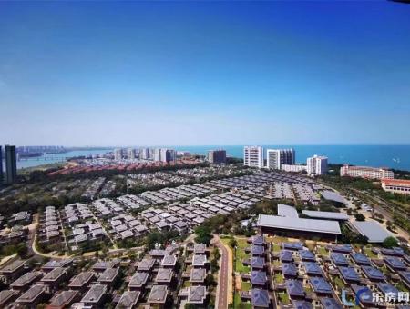 鲁能海蓝福源实景图
