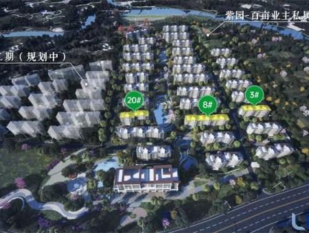 雅居乐江东紫航一号规划图