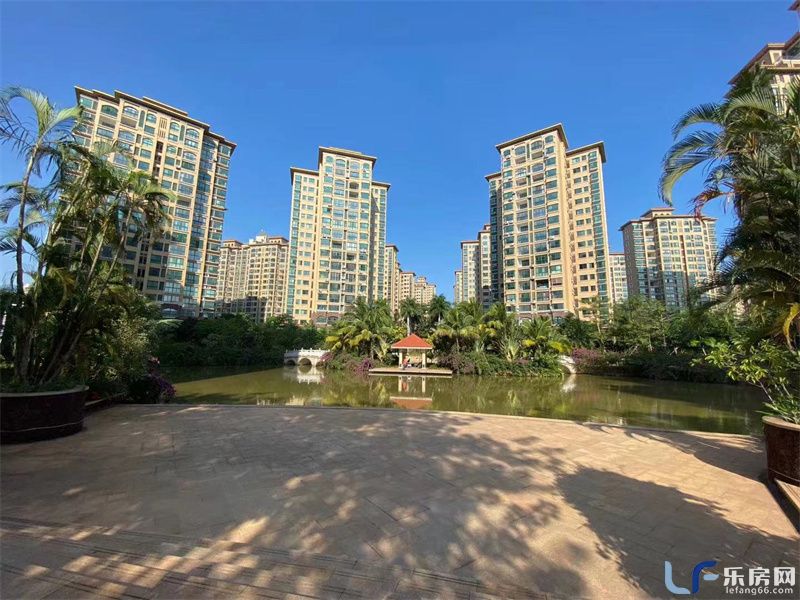 海湾雨林11.jpg