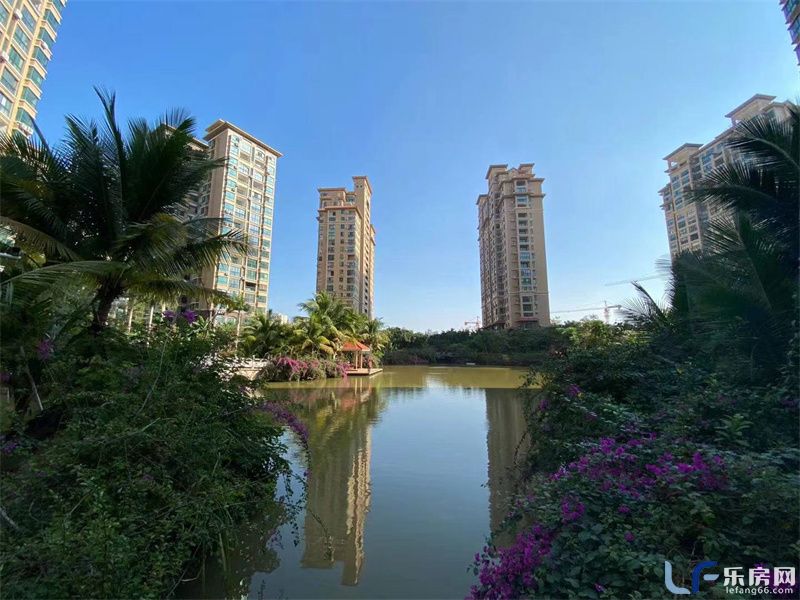 海湾雨林10.jpg