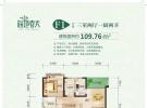 海地春天建面110平米户型图