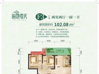 海地春天建面102平米户型图