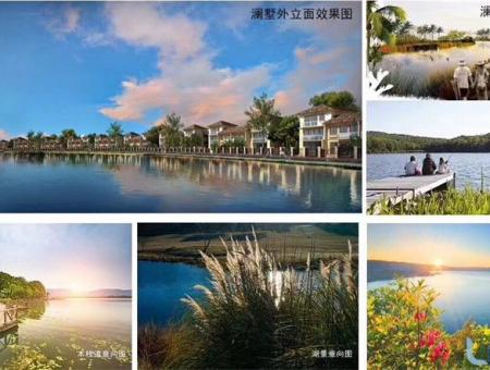 观澜湖澜墅效果图