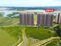 富力红树湾实景图