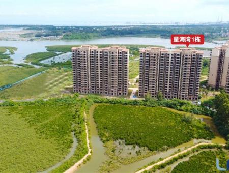 富力红树湾实景图