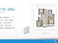 海口宝龙城六期B户型109平米
