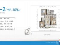 海口宝龙城六期B-2户型109平米