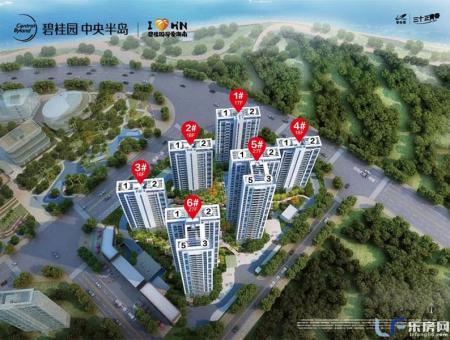 碧桂园中央半岛规划图