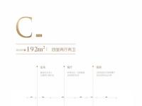 罗牛山璞域二期建面192平米户型图