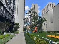 招商·雍江湾实景图