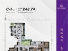 现代·凤翔观邸建面248平米户型图
