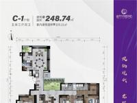 现代·凤翔观邸建面248平米户型图