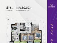 现代·凤翔观邸建面130平米户型图