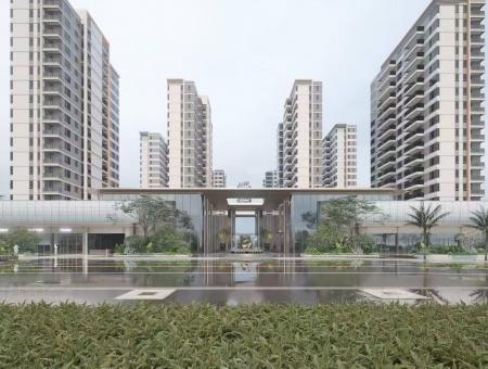 大华星曜效果图